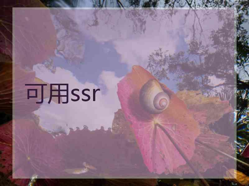 可用ssr