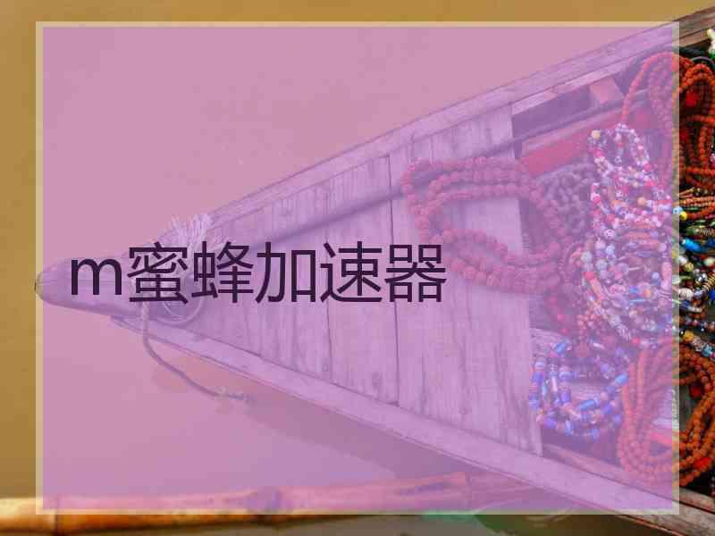 m蜜蜂加速器