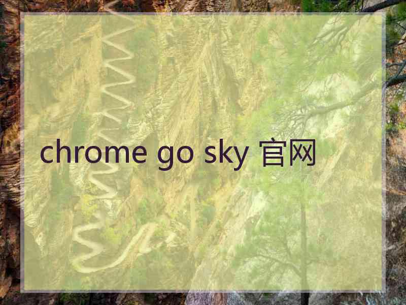 chrome go sky 官网