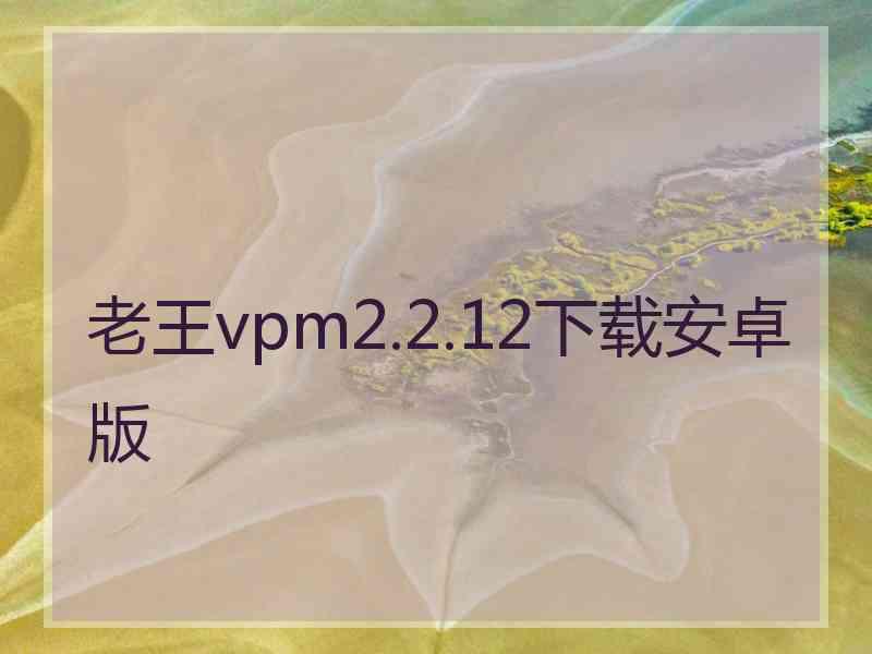 老王vpm2.2.12下载安卓版