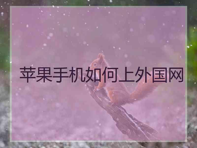 苹果手机如何上外国网