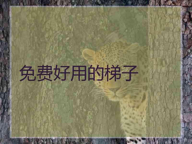免费好用的梯子