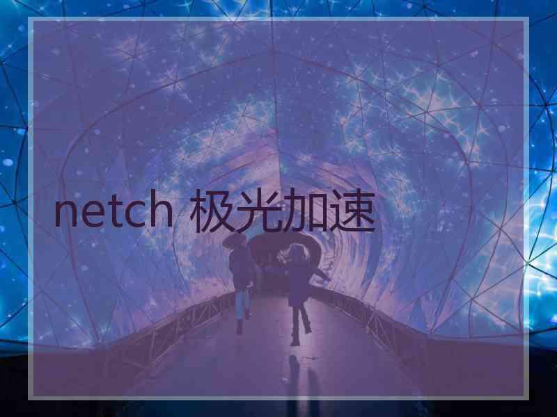 netch 极光加速