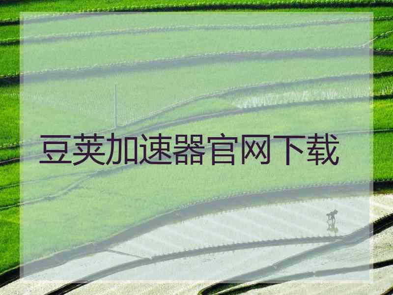 豆荚加速器官网下载