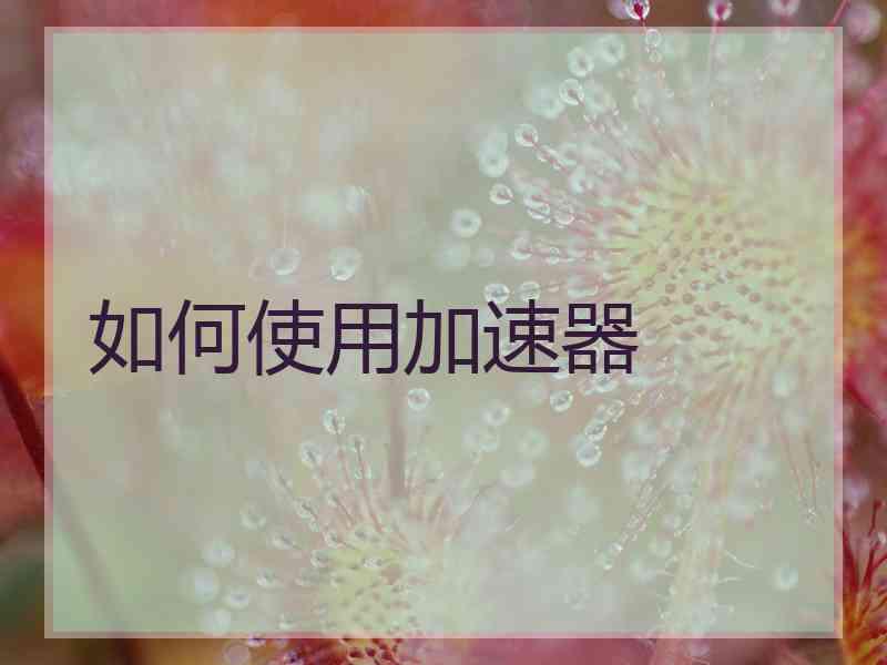 如何使用加速器