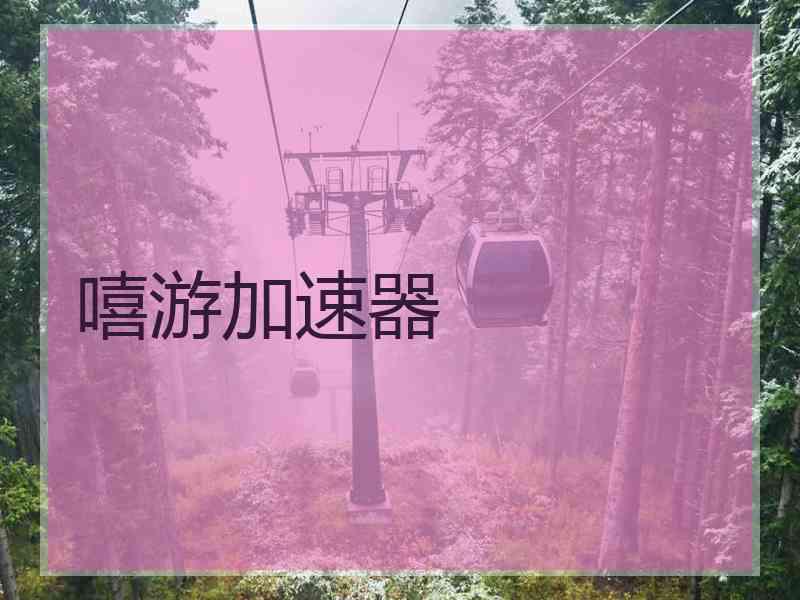 嘻游加速器