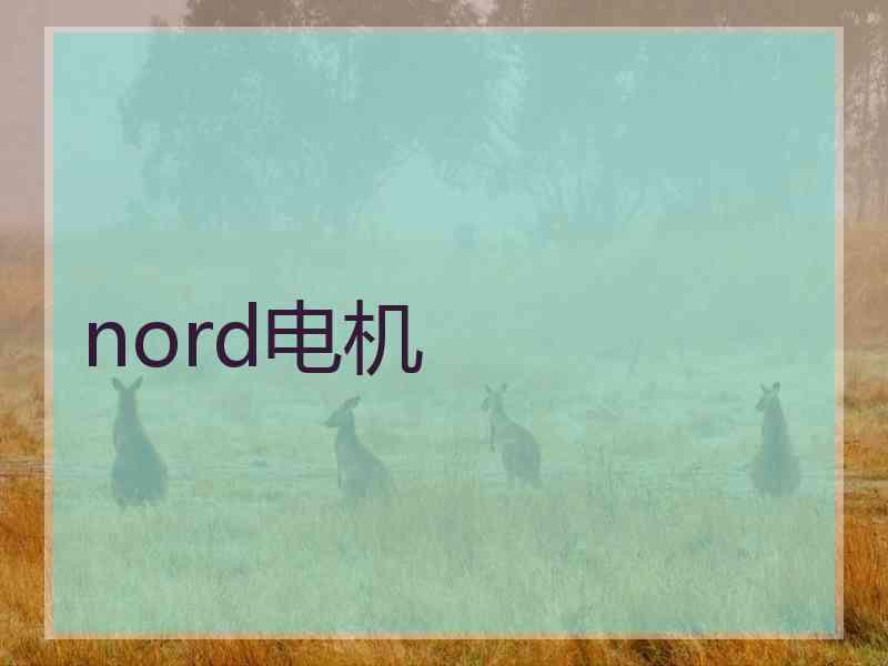 nord电机