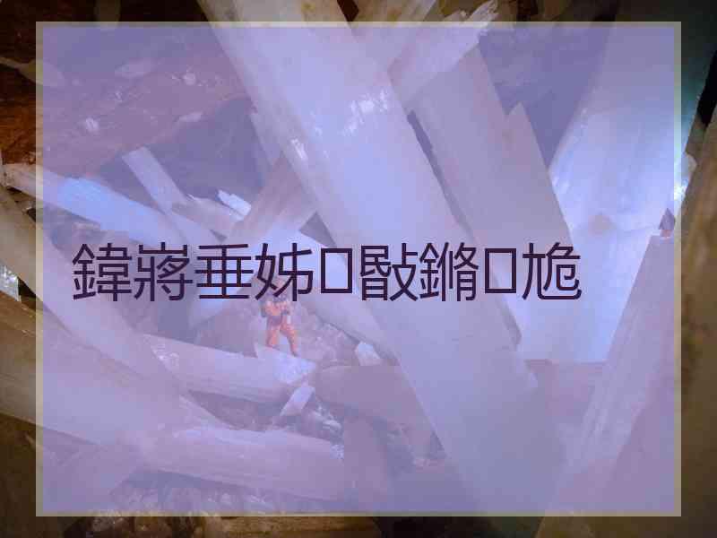 鍏嶈垂姊敯鏅尯