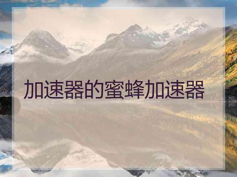 加速器的蜜蜂加速器