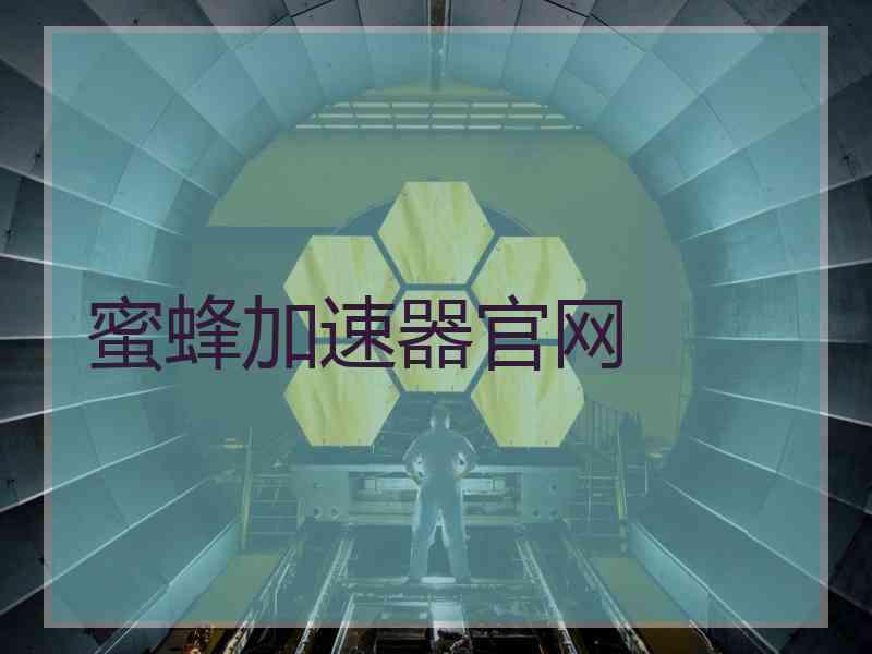 蜜蜂加速器官网