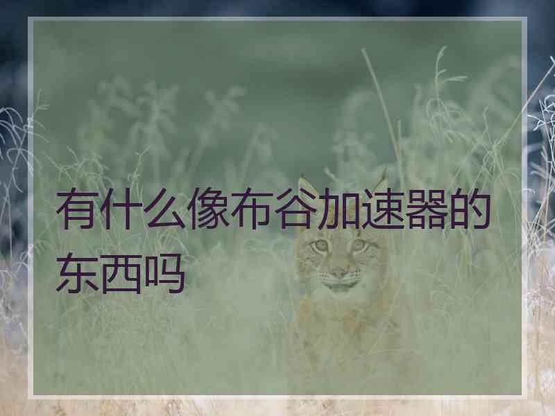 有什么像布谷加速器的东西吗