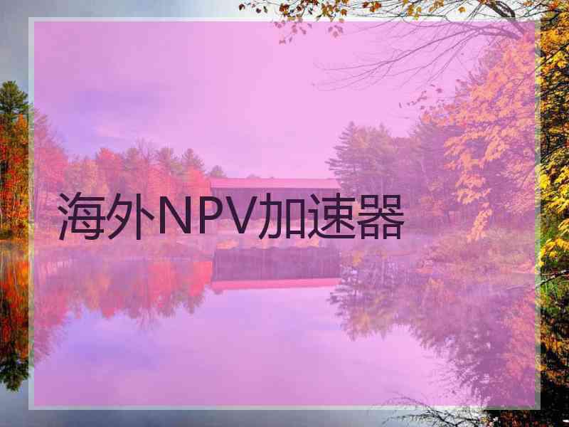 海外NPV加速器