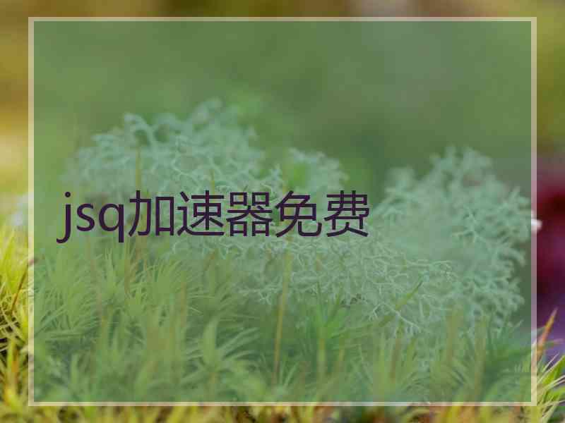jsq加速器免费