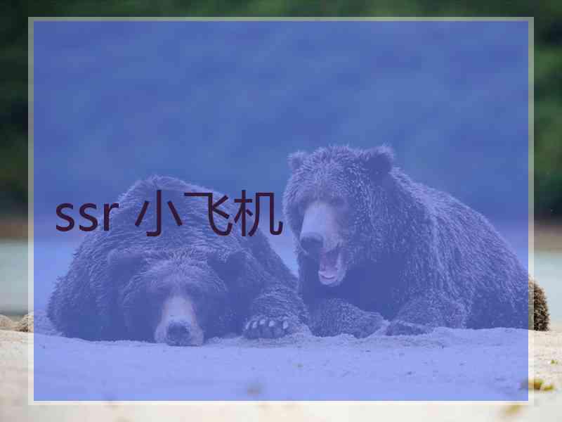 ssr 小飞机