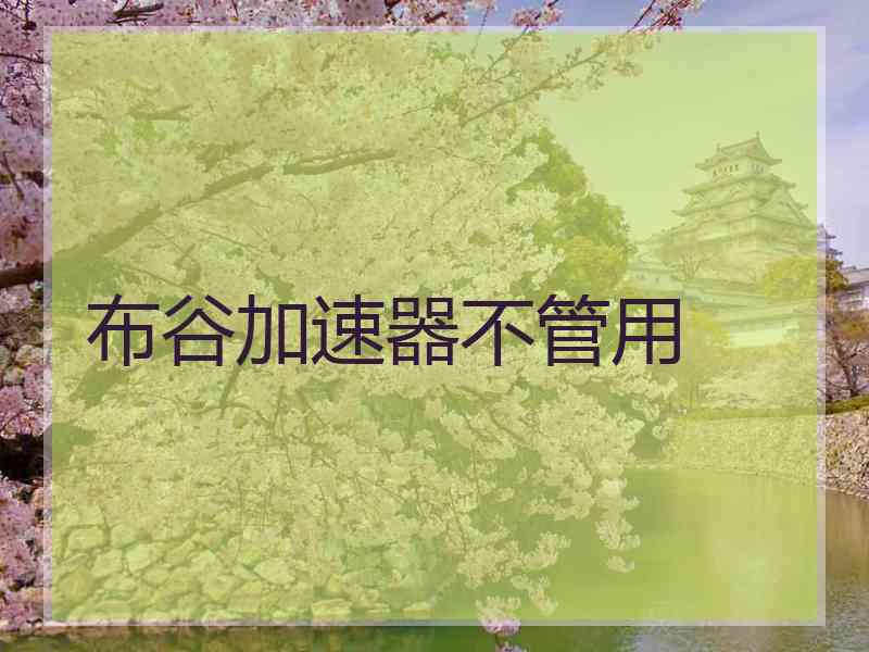 布谷加速器不管用