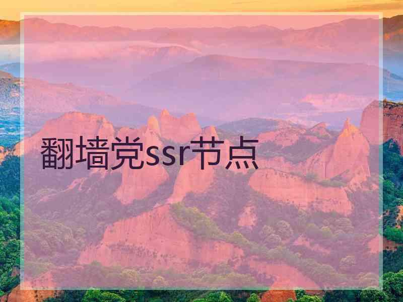 翻墙党ssr节点