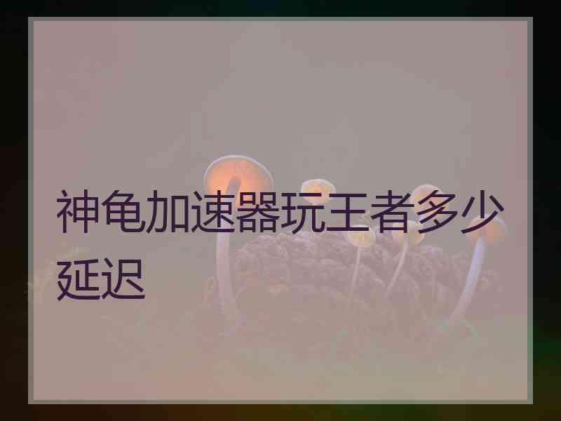 神龟加速器玩王者多少延迟