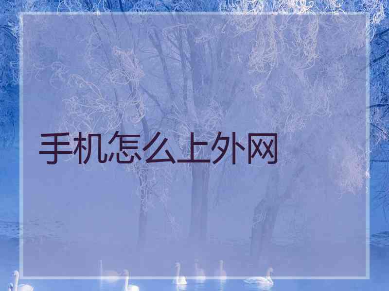手机怎么上外网