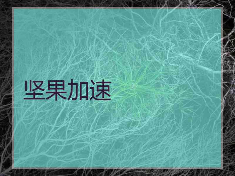 坚果加速