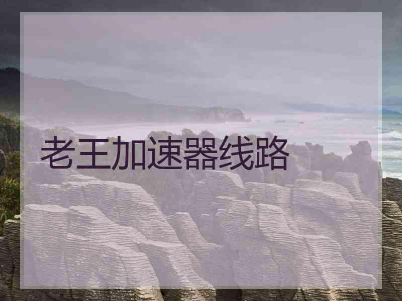 老王加速器线路