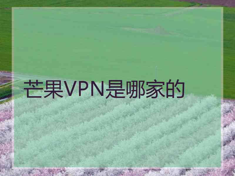 芒果VPN是哪家的