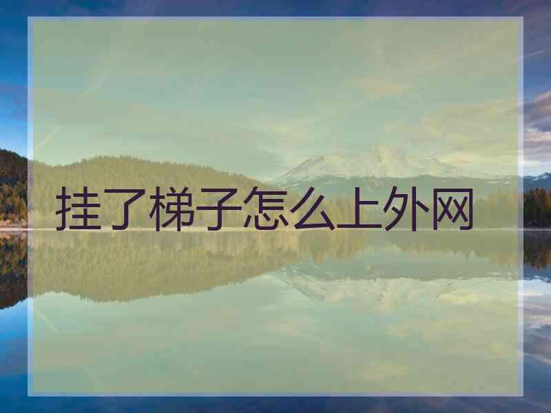 挂了梯子怎么上外网