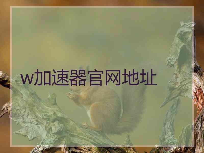 w加速器官网地址