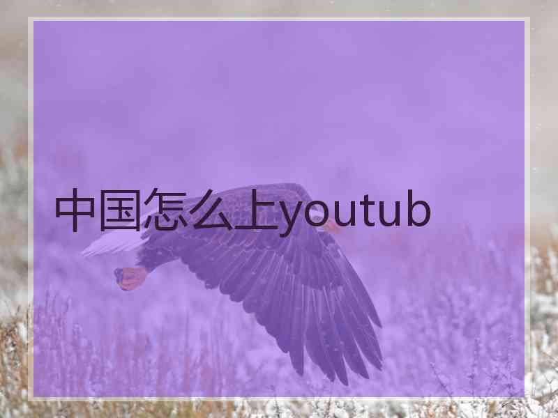中国怎么上youtub