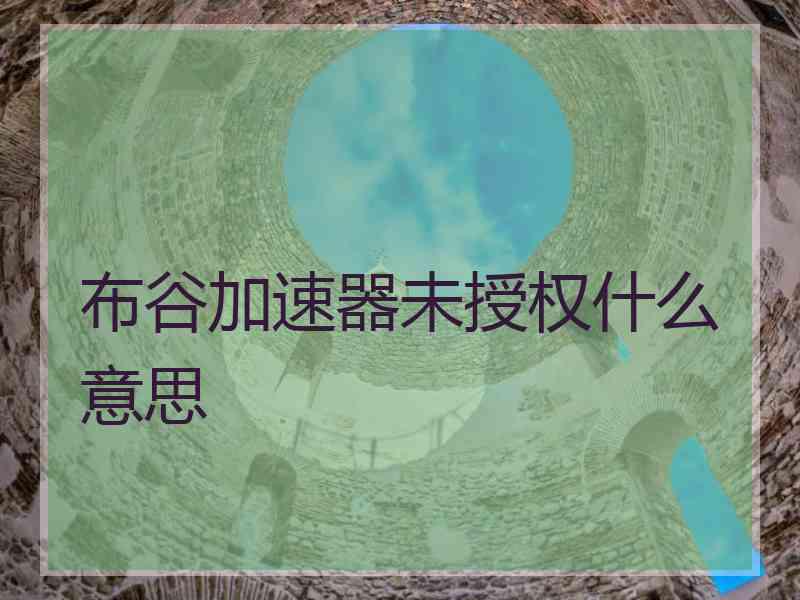 布谷加速器未授权什么意思