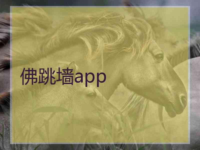 佛跳墙app