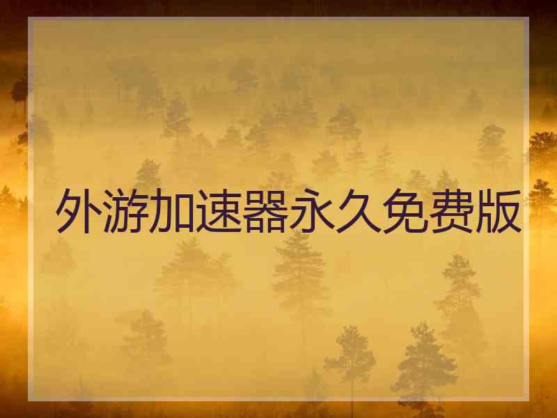 外游加速器永久免费版
