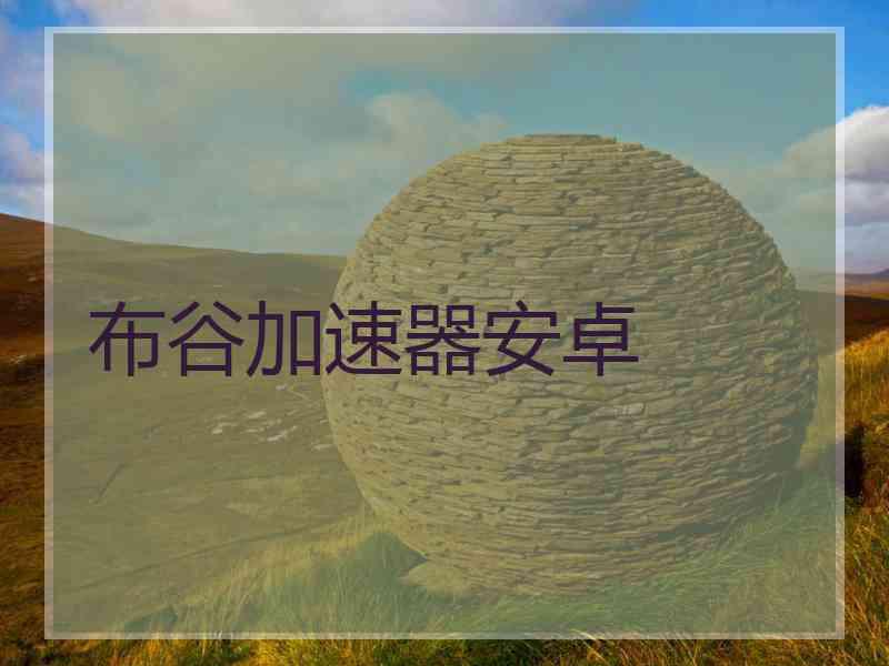 布谷加速器安卓