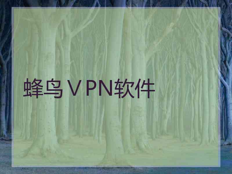蜂鸟ⅤPN软件