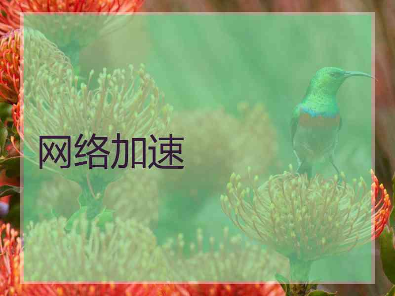 网络加速