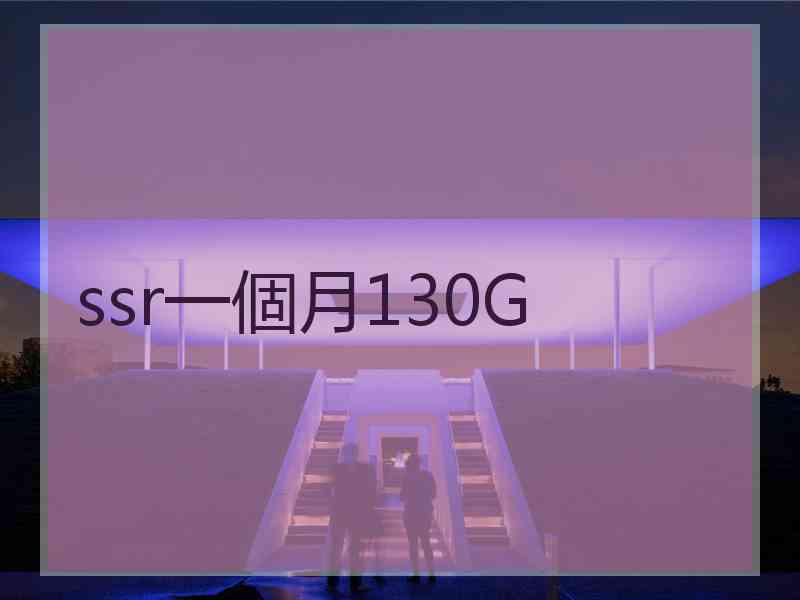 ssr一個月130G