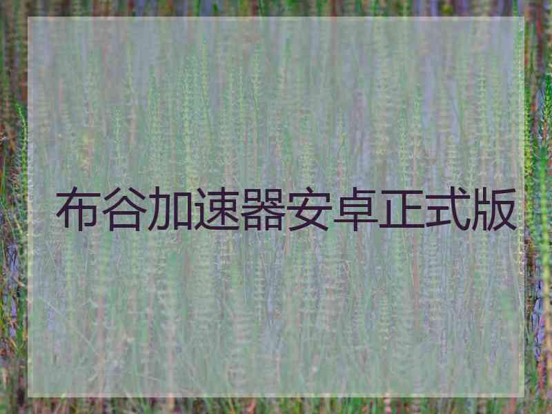 布谷加速器安卓正式版