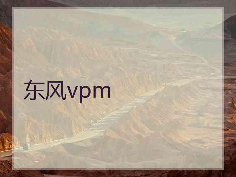 东风vpm