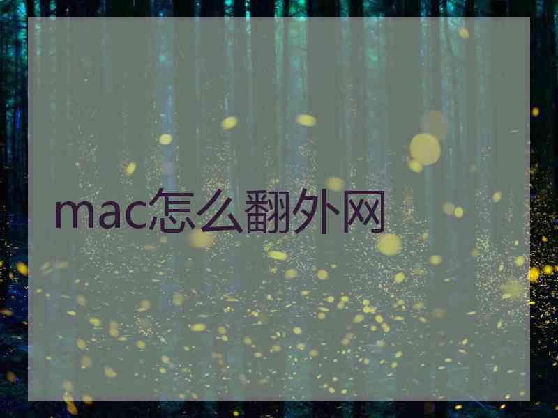 mac怎么翻外网