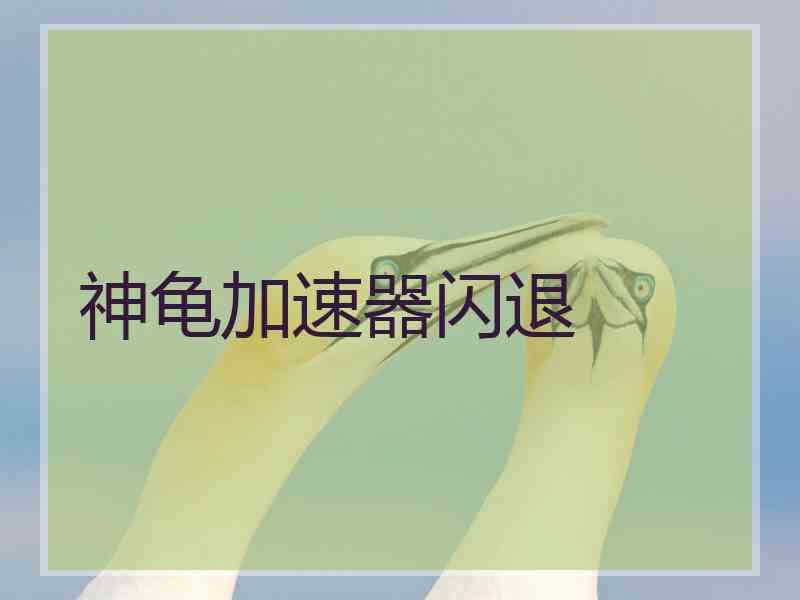 神龟加速器闪退