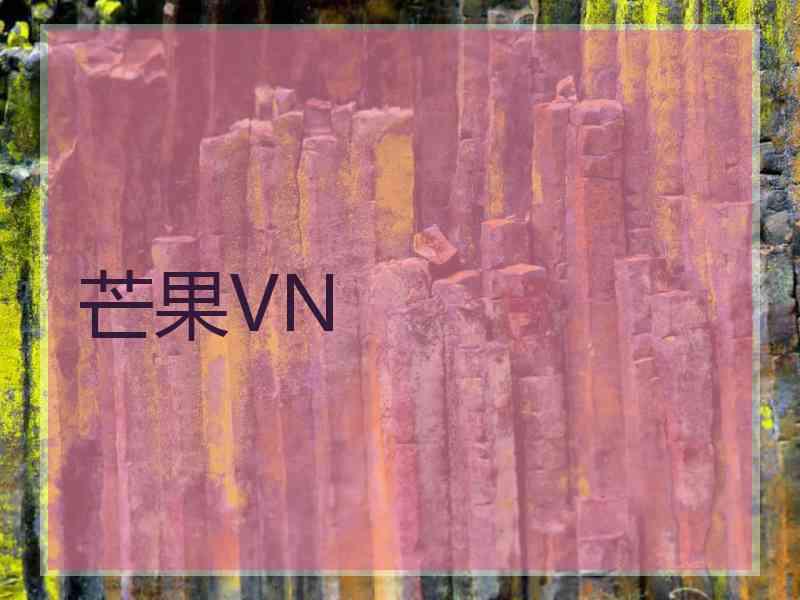芒果VN