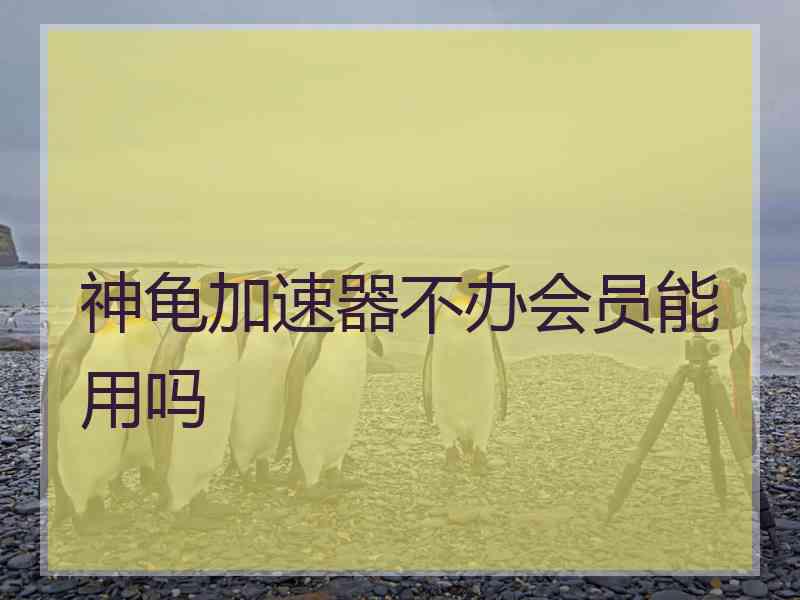 神龟加速器不办会员能用吗