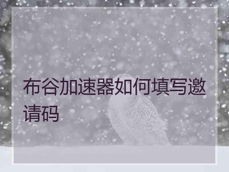 布谷加速器如何填写邀请码