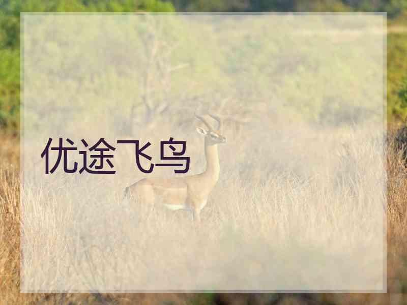 优途飞鸟