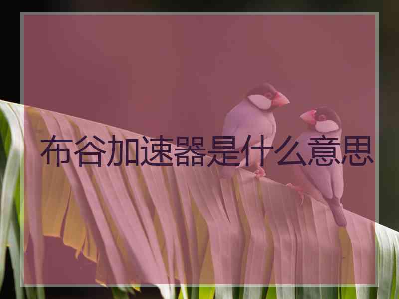 布谷加速器是什么意思