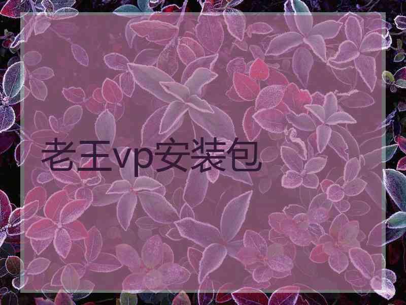 老王vp安装包