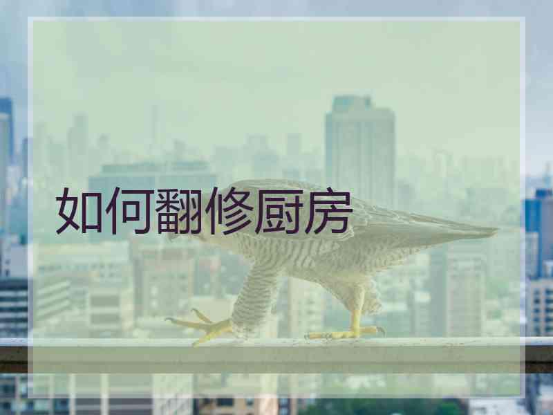 如何翻修厨房