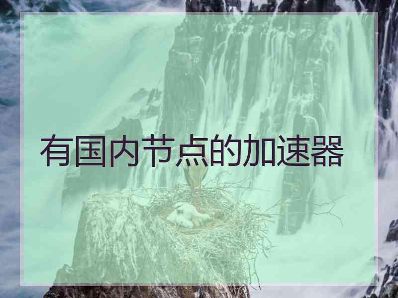 有国内节点的加速器