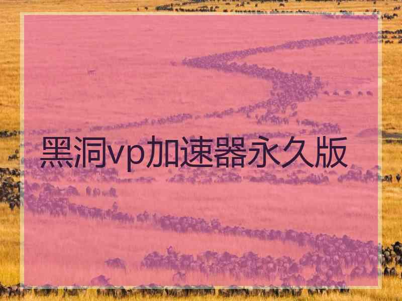 黑洞vp加速器永久版