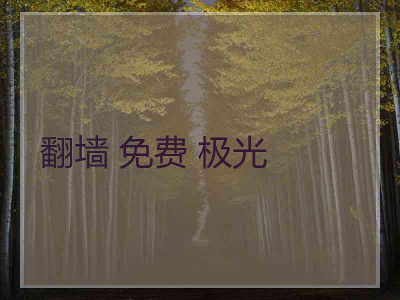 翻墙 免费 极光
