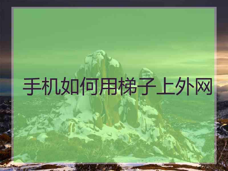 手机如何用梯子上外网